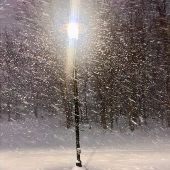 Hello! - Picture 2 of 3